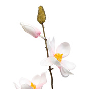 Kunstblume Magnolia