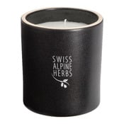 Duftkerze Alpine Scent