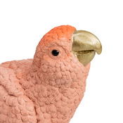 uccello Kiara