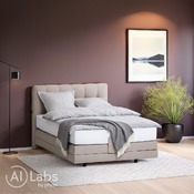 Boxspringbett Arosa 231