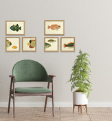 Tableau avec cadre BOTANICAL