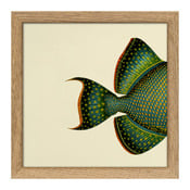 Quadro con cornice BOTANICAL