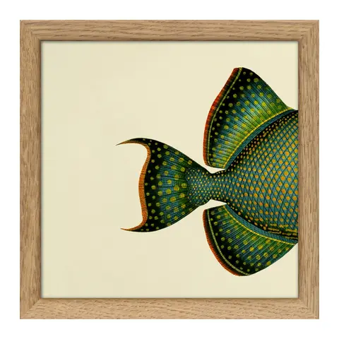Quadro con cornice BOTANICAL