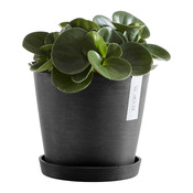 pot de jardin AMSTERDAM