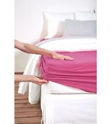 foglio fisso per boxspring Feinjersey