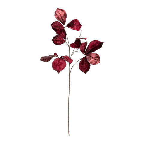 Dekozweig Exotica