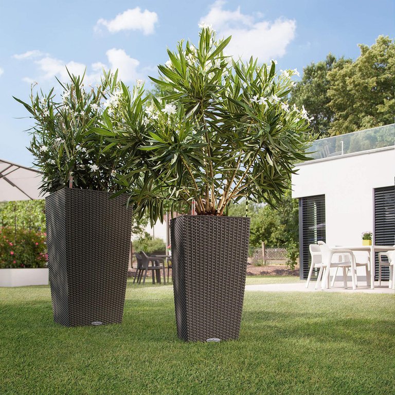 Gartentopf COTTAGE kaufen · Pfister