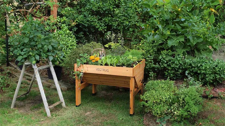 Hochbeete-Befüllen-Vegtrug-1120x630.jpg