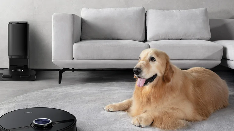 Banner_SofaHund.jpg