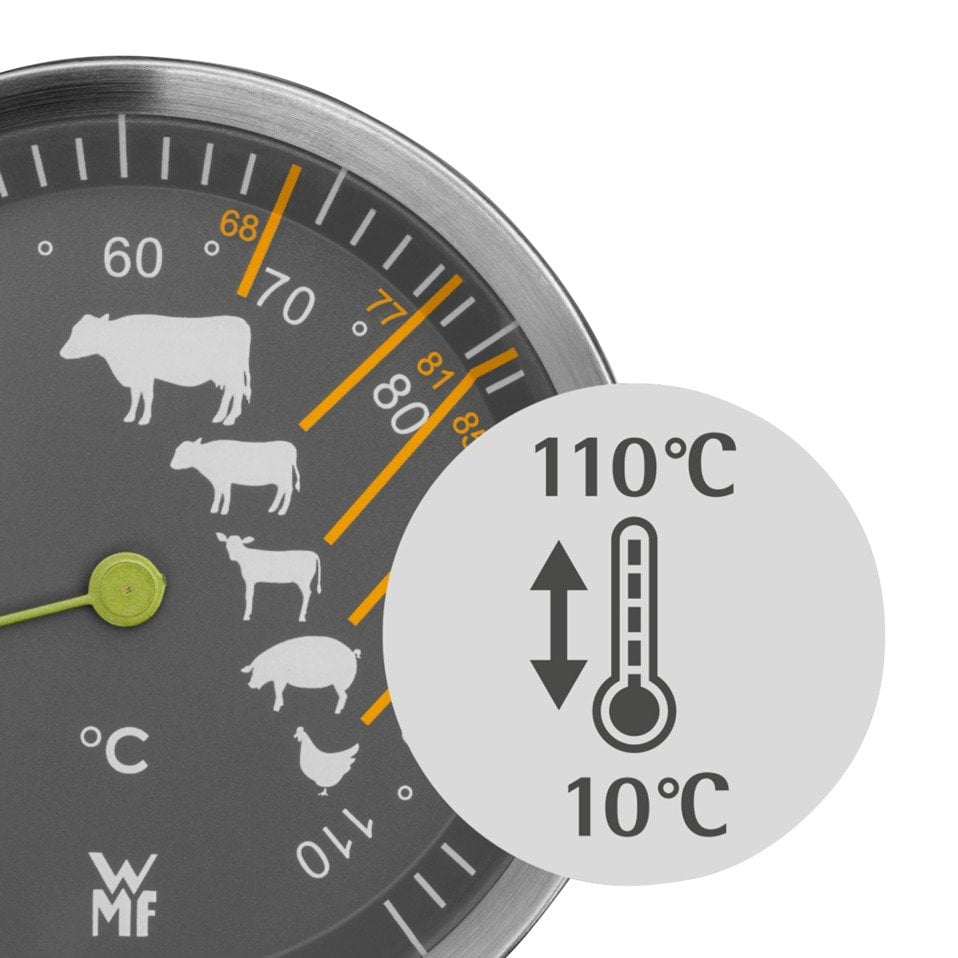 Termometro per carni BBQ