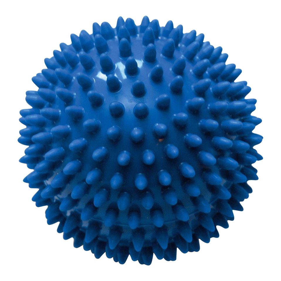 Spikeball Blau