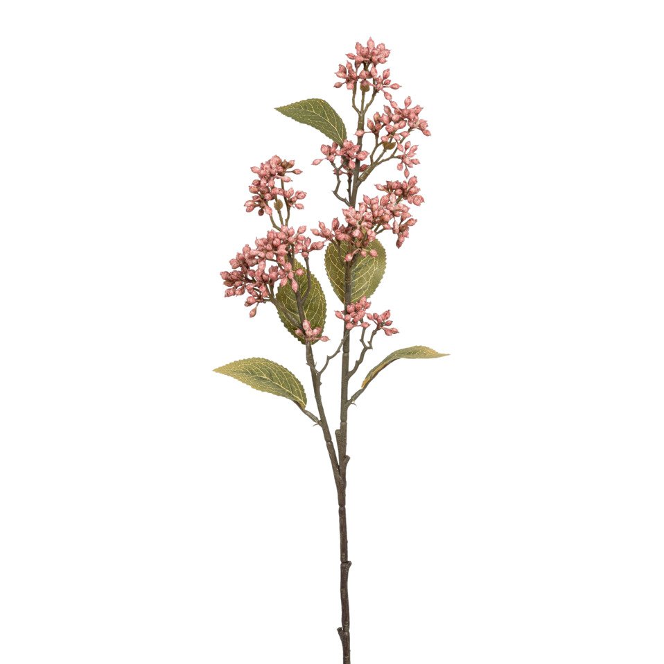 ghirlanda di decorazione Viburnum