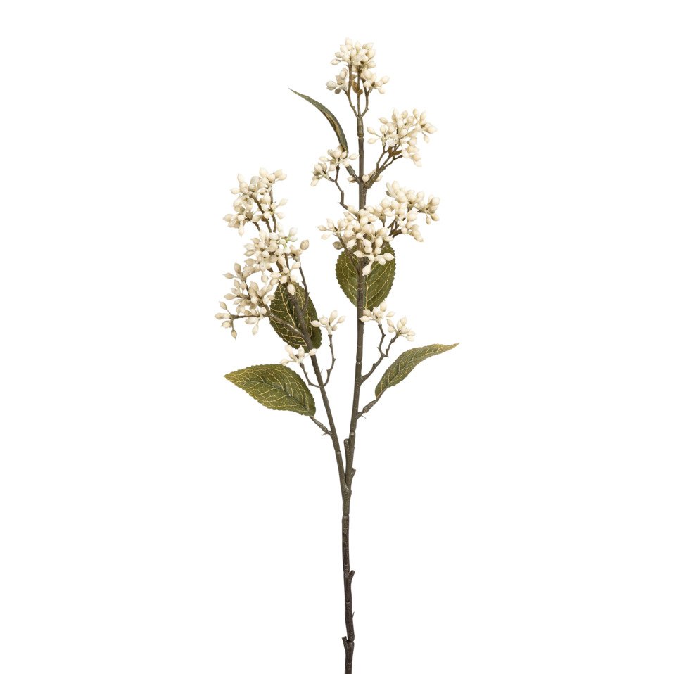 ghirlanda di decorazione Viburnum