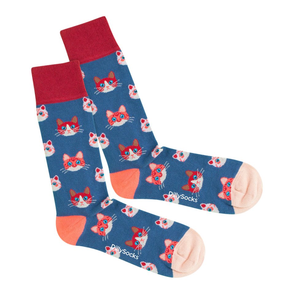 Socken Sky Kitten