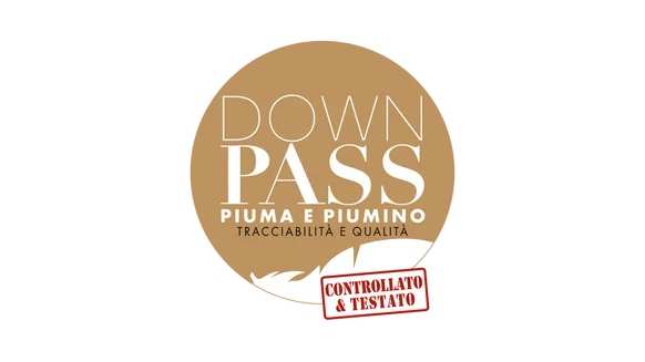 downpass-logo-it.png