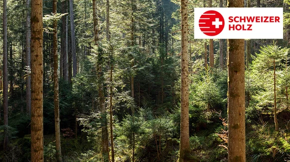 tkg-schweizer-holz-teaser2-de.jpg