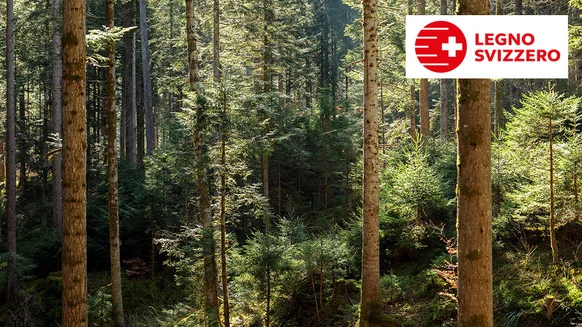 tkg-schweizer-holz-teaser2-it.jpg