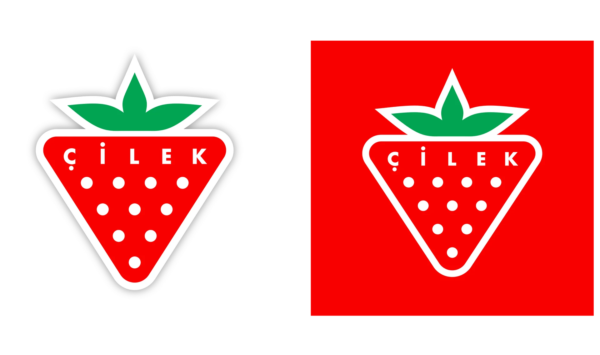 cilek-logo.png