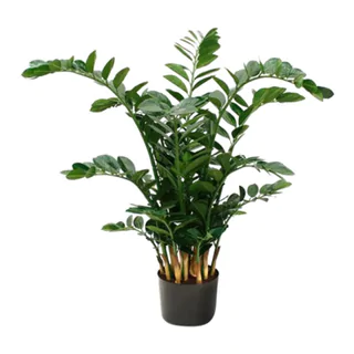 Kunstpflanze Zamioculcas