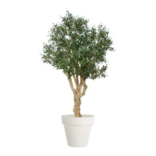 Kunstpflanze Olea europaea