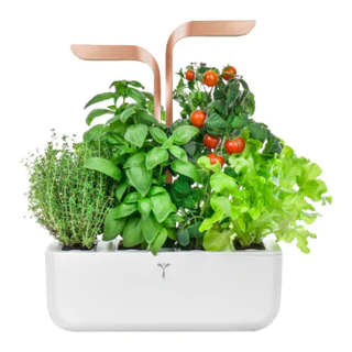 vaso per erbe Smart