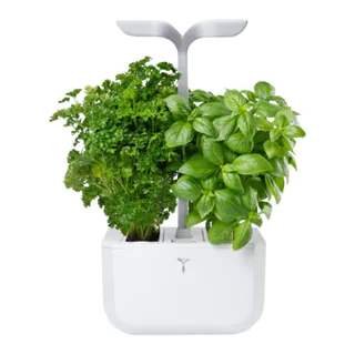 vaso per erbe Exky Smart