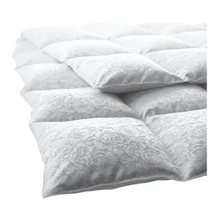 Duvet Eider-Caro-Light