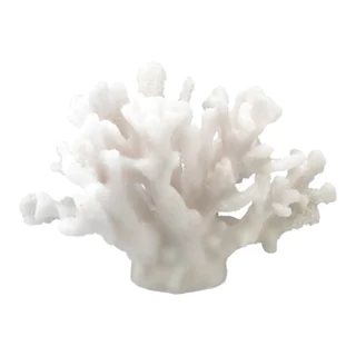 Skulpturen Coral