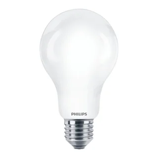 lampadina E27 LED