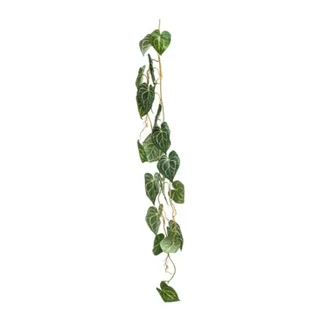 piante Hänger