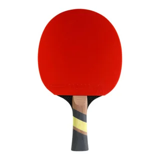 raquettes de ping-pong EXCELL 2000