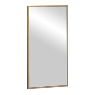specchio da parete V100
