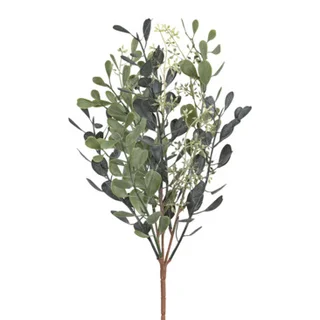 branche décorative Sedum