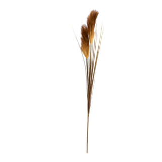 ramo decorativo Dried-Grass